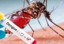 Salud Pública pide población refuerce prevención del dengue